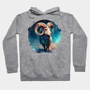 Aries Zodiac Sign Hoodie